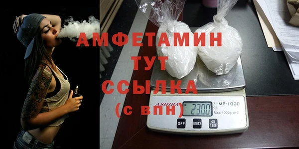 стаф Аркадак