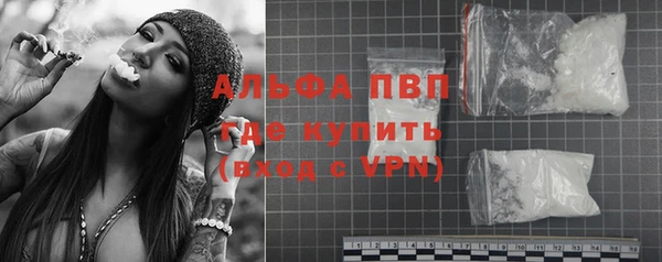 индика Арсеньев