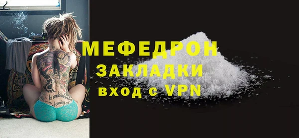 индика Арсеньев