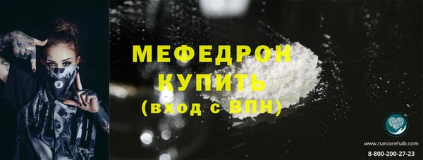 стаф Аркадак