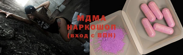 стаф Аркадак