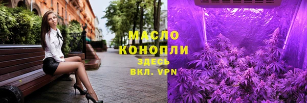 индика Арсеньев