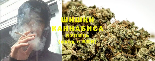 индика Арсеньев