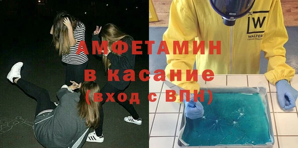 индика Арсеньев