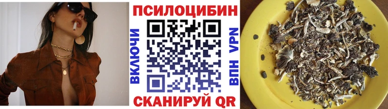 omg ССЫЛКА  Ухта  Галлюциногенные грибы Psilocybine cubensis 